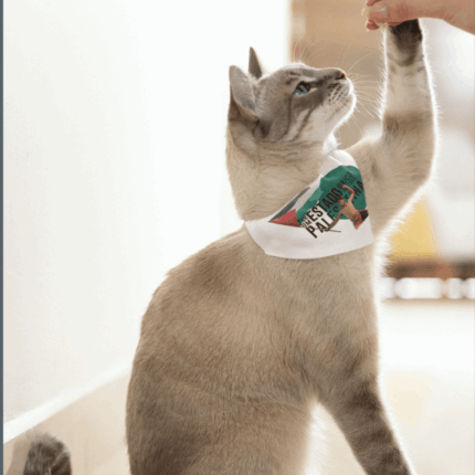 Bandana Pet Por um Estado único de toda a Palestina